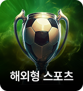 해외형 스포츠