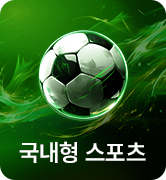 국내형 스포츠