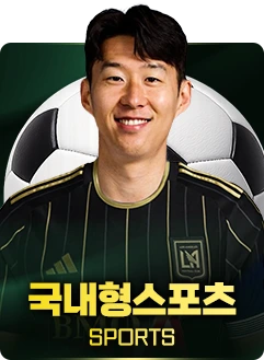 국내형스포츠